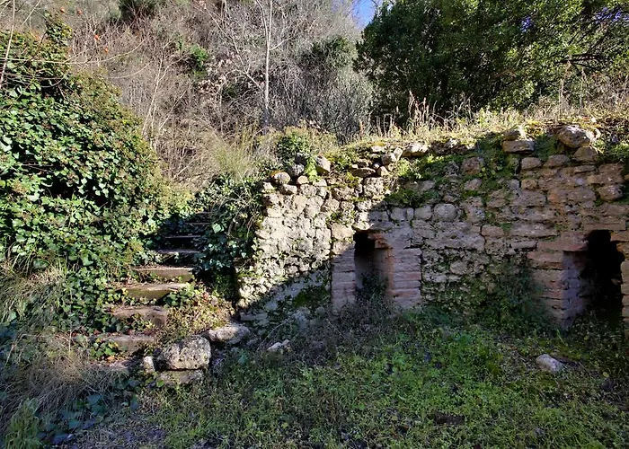 Casa di campagna Huerta Del Tajo *