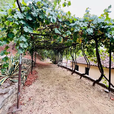 Kır Evi Huerta Del Tajo