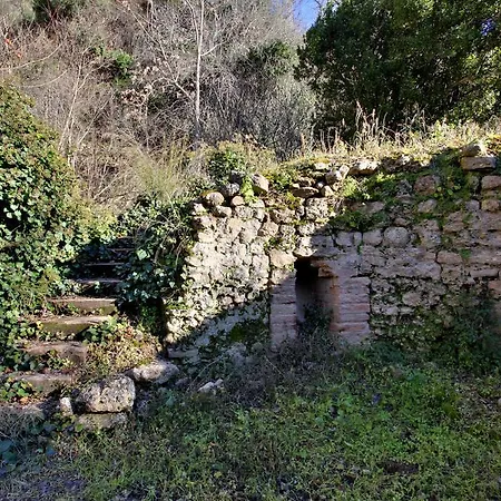 Casa de Campo Huerta Del Tajo *